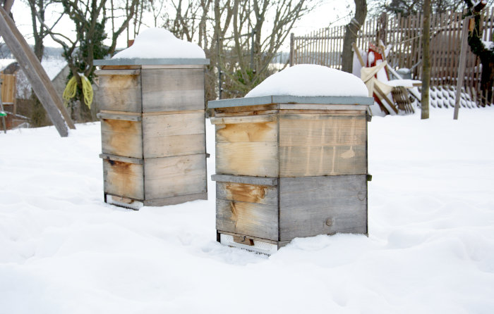 Die Bienenstöcke in der Winterruhe