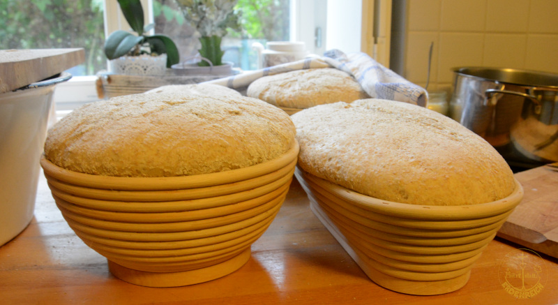 Die Brote wurden in der Küche der Kirchengemeinde Schildau vorbereitet