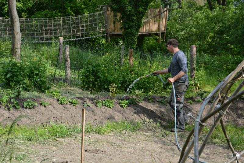 Gartenhelfer gesucht für den Garten Erdenreich in Schildau