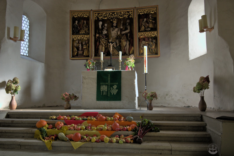 Altar der St.Marienkirche Schildau mit Erntegaben